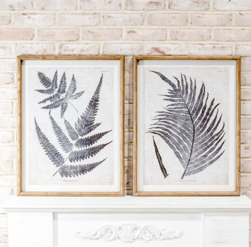 2 Assorted Fern Wall Art