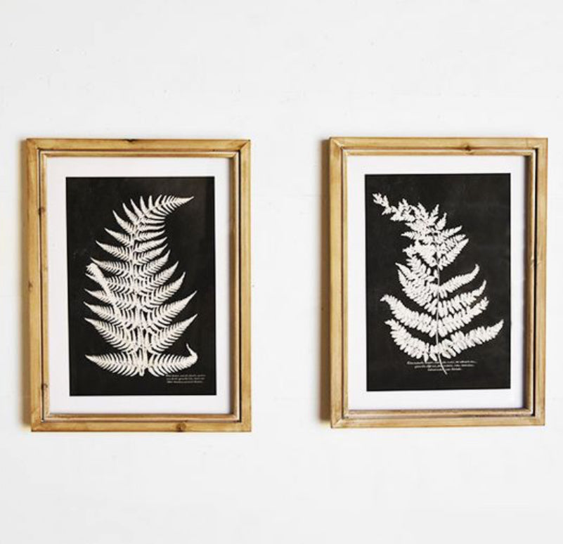 15.75" 2 Assorted Fern Wall Decor