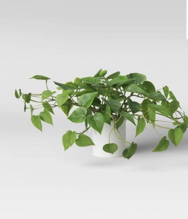 Hanging Plant Greenery - Threshold