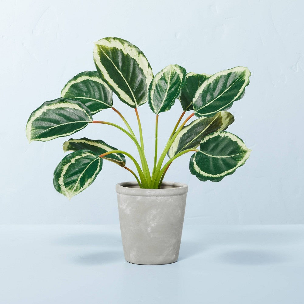 14" x 16" Faux Calathea Plant in Ceramic Pot - Hearth & Hand