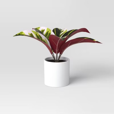 Artificial Cordyline Plant - Threshold