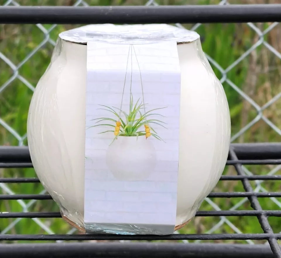 Hanging Rope & Beaded Planter Kit - 17067