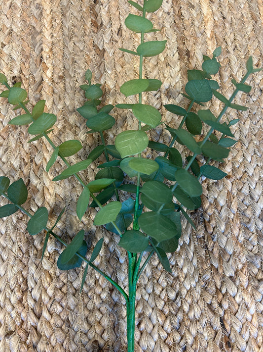 Green Eucalyptus Floral Stem