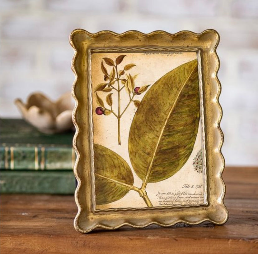 5 X 7 Antique Gold Scallop Edge Frame