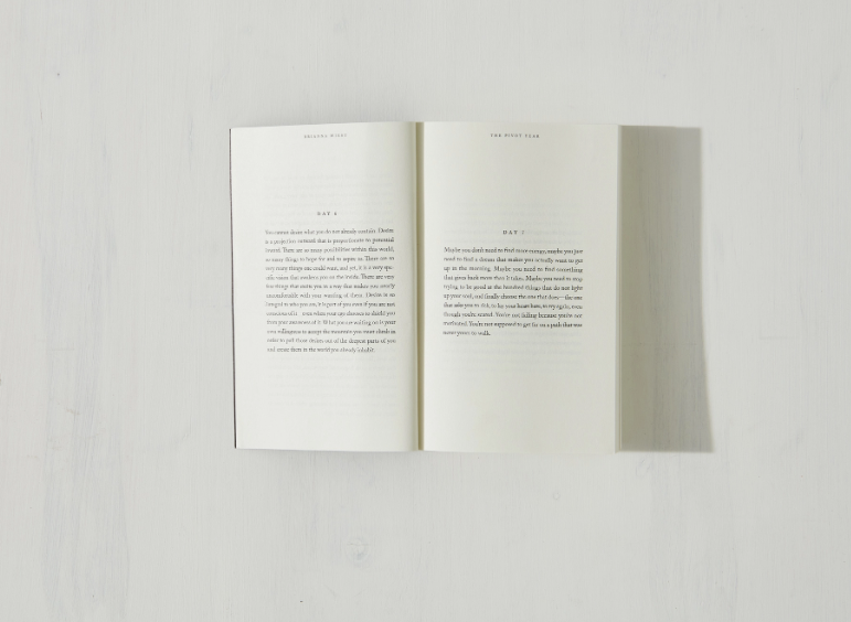 The Pivot Year - book: Hardcover