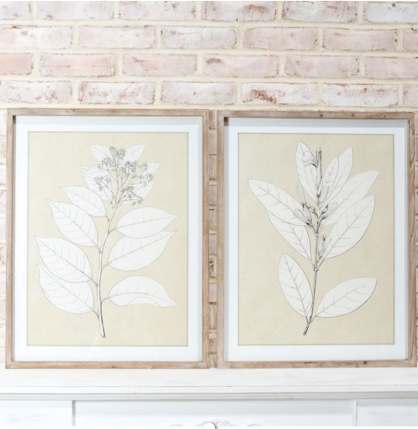 2 Assorted Floral Wall Art