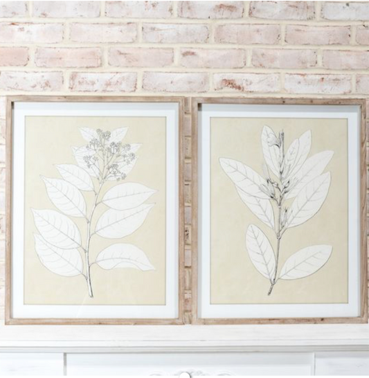 2 Assorted Floral Wall Art