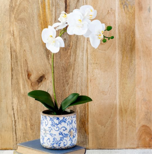 18" White Orchid In Pot