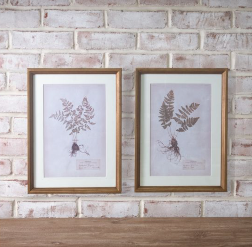 Set of 2 Assorted Fern Print Wall Art