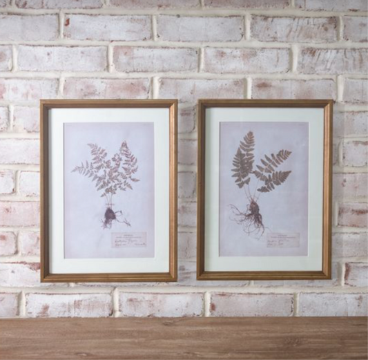 Set of 2 Assorted Fern Print Wall Art