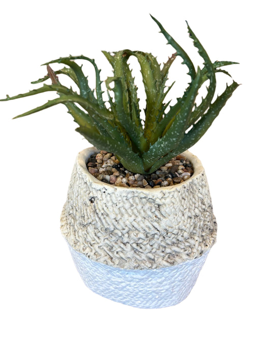Faux Aloe Plant in Ceramic Pot - White