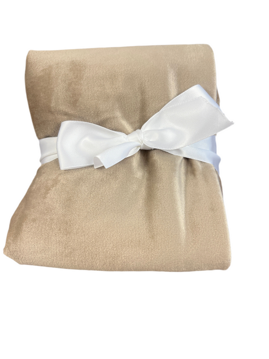 As Is 20”x20” Velvet Taupe Set of 2 Pillow Cover - Lush Decor