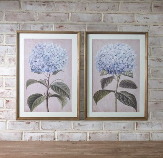 2 Assorted Hydrangea Print Wall Art