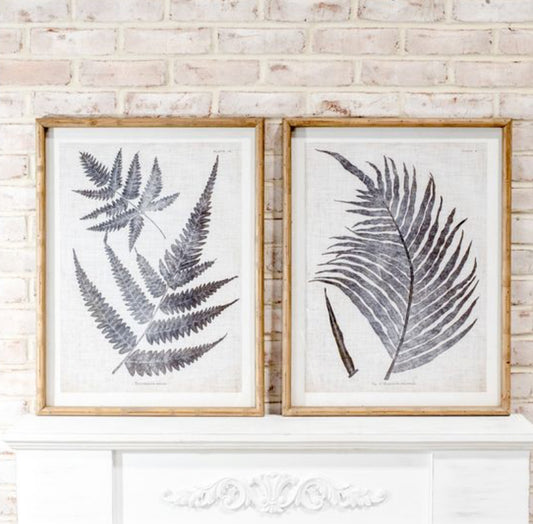 2 Assorted Fern Wall Art