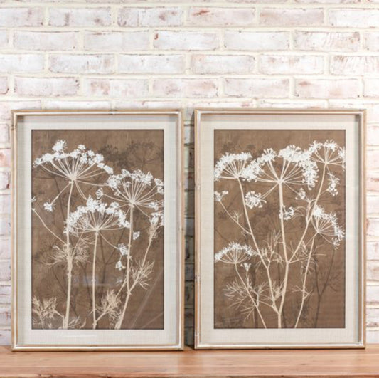 2 Assorted Botanical Wall Art
