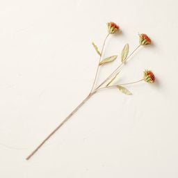 Faux Cornflower Stem - Hearth & Hand™ with Magnolia