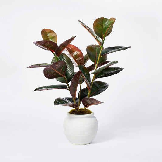 Medium Artificial Rubber Plant in Ceramic Pot Purple - Threshold Studio McGee